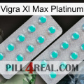 Vigra Xl Max Platinum 29